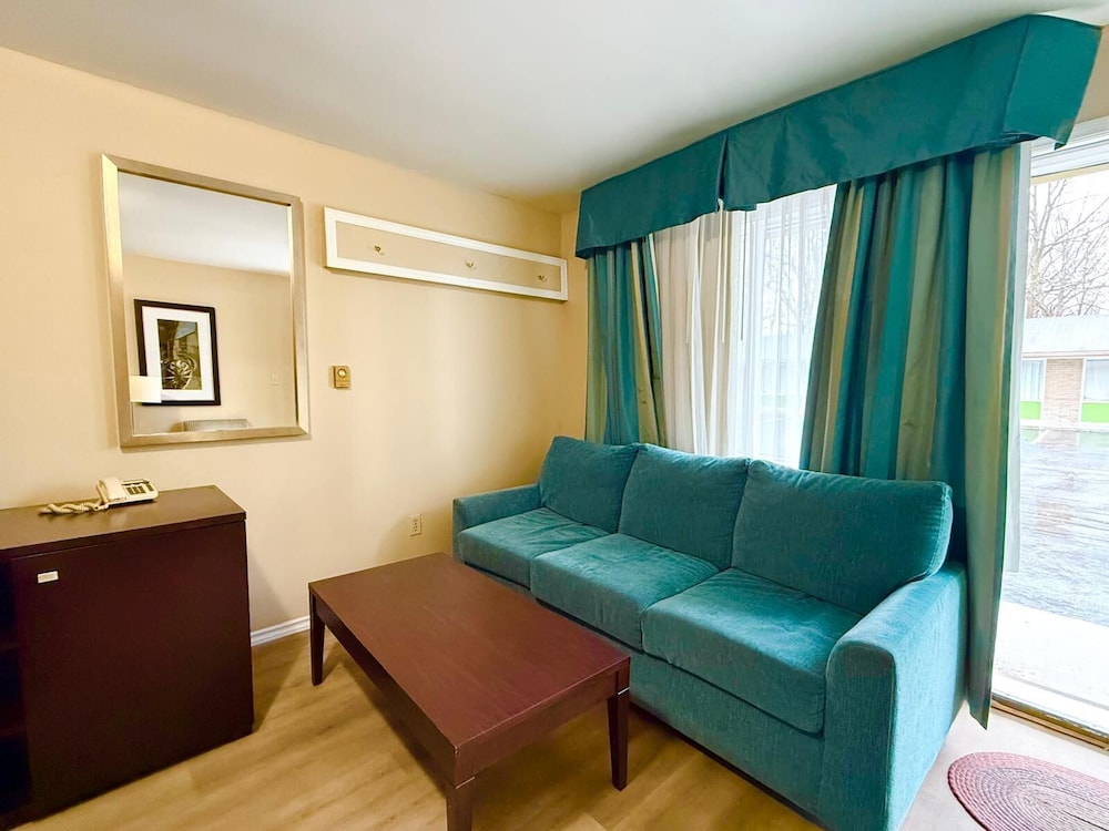 Room, 1 King Bed with Sofa bed, Non Smoking photo 2