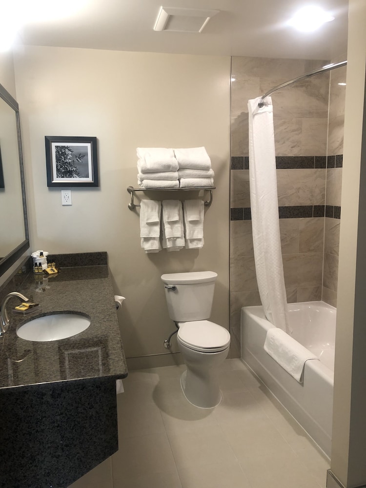 Suite, Multiple Beds, Non Smoking, Kitchenette (with Sofabed) photo 3