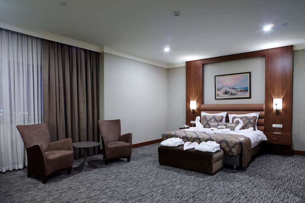 Executive Room photo 2