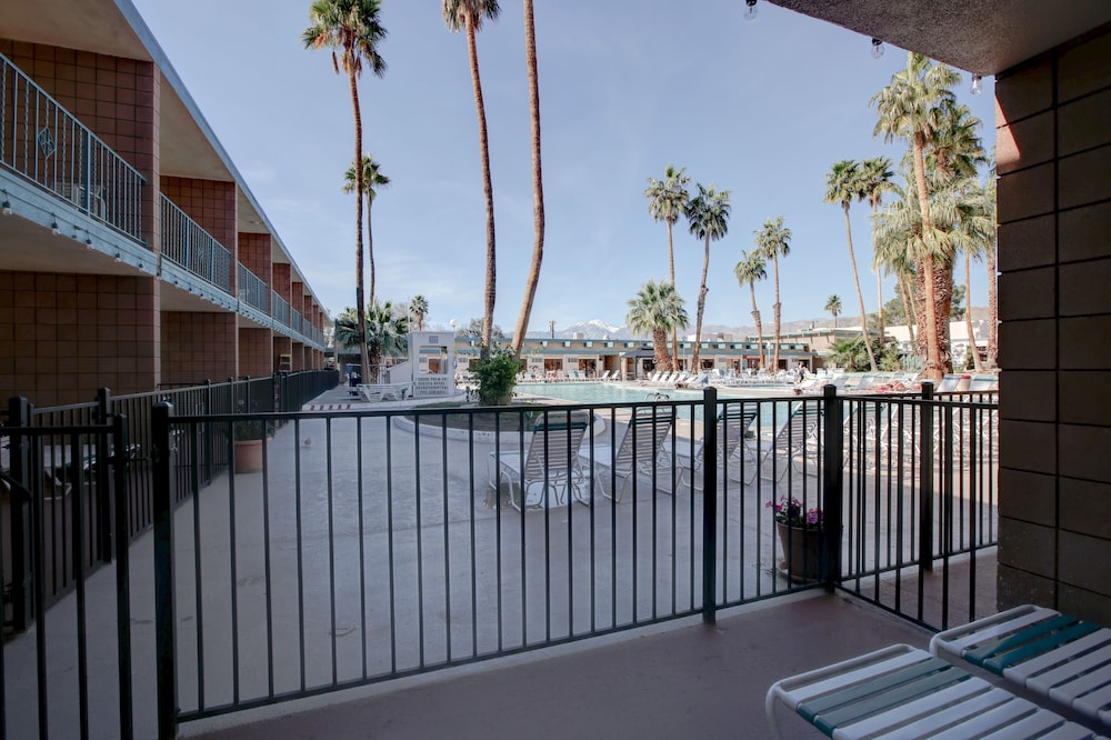 Single Room, 1 King Bed, Pool Access, Poolside - Photo 2