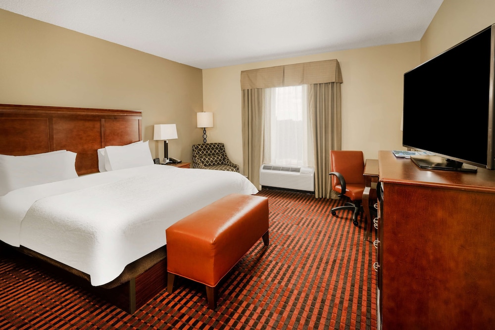 Room, 1 King Bed, Accessible, Non Smoking photo 3