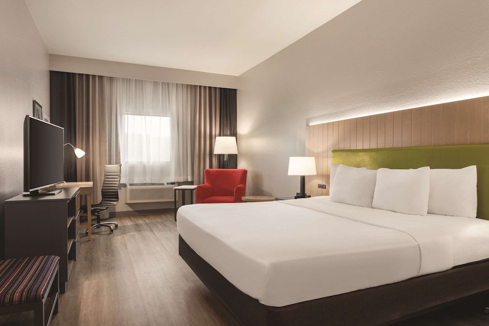 Room, 1 King Bed, Non Smoking - Photo 1
