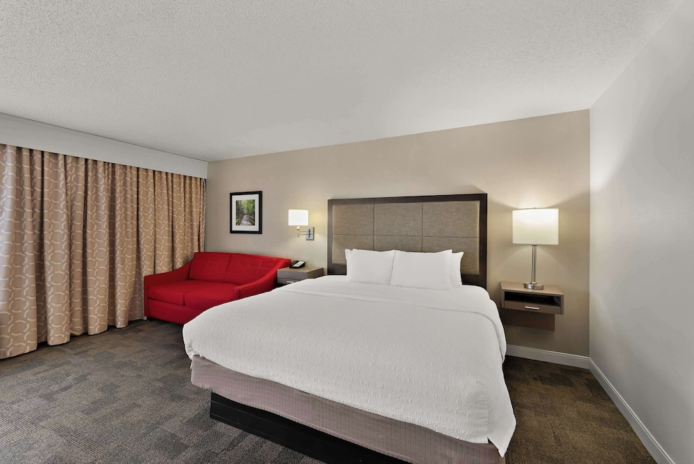Suite, 1 King Bed, Non Smoking photo 3