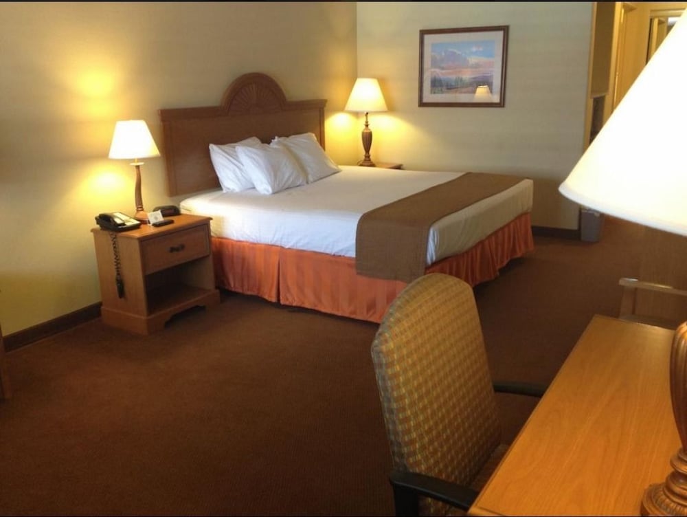 Single Room, 1 King Bed, Accessible