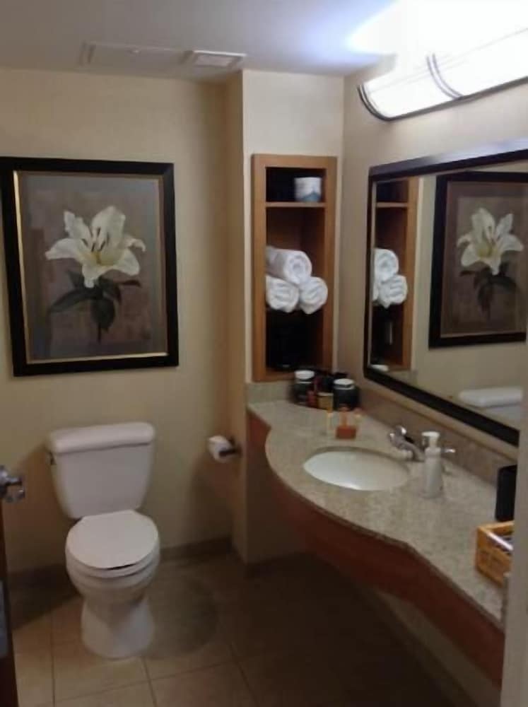 Deluxe Room, 1 King Bed, Non Smoking, City View - Photo 4