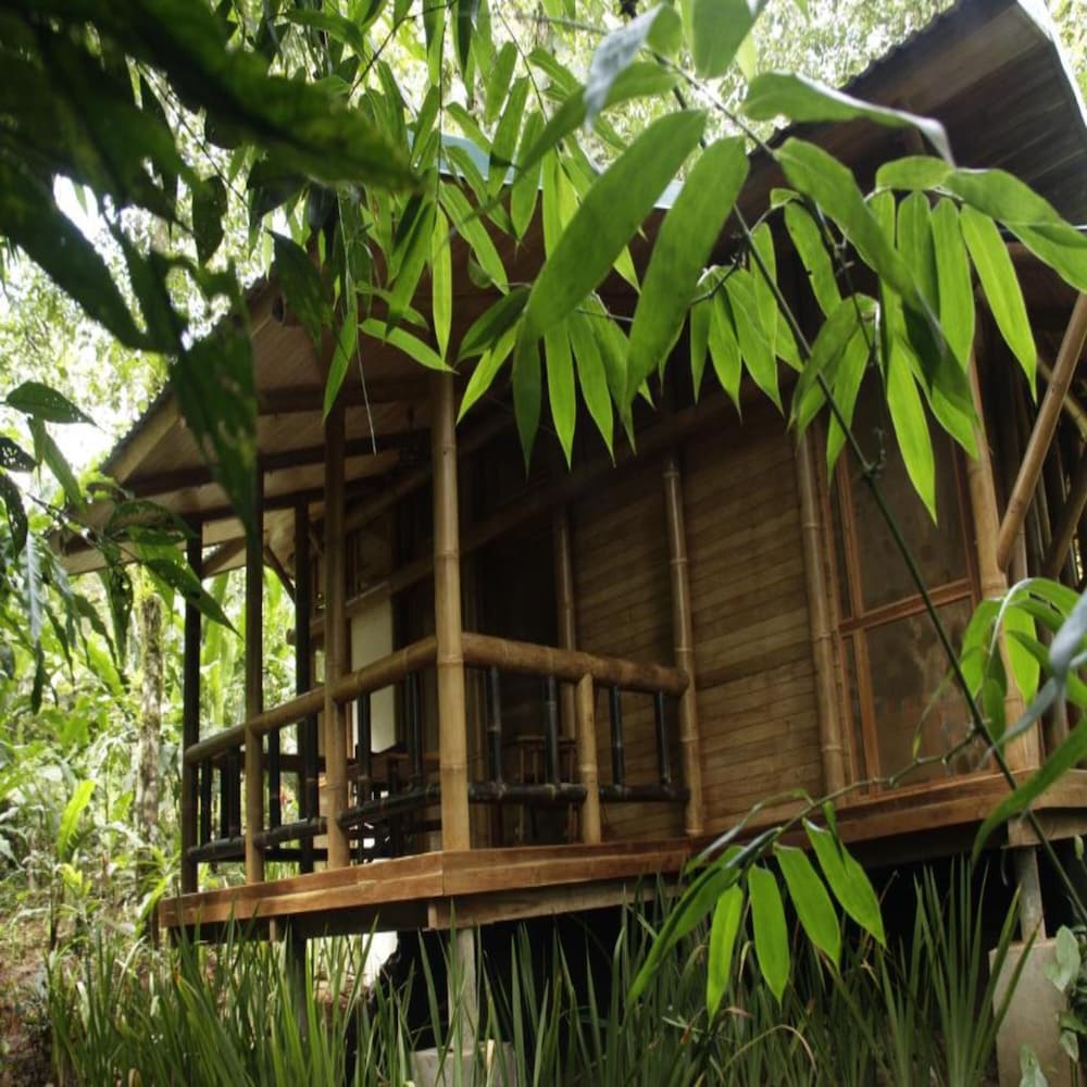 Bungalow (Natural)