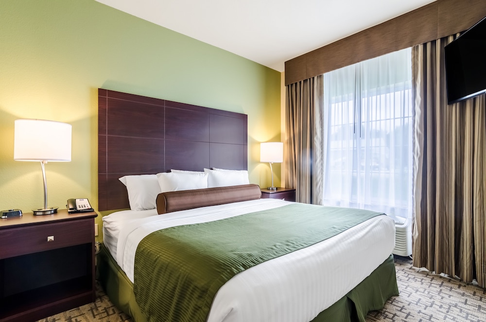 Suite, 1 King Bed with Sofa bed, Accessible, Non Smoking photo 1