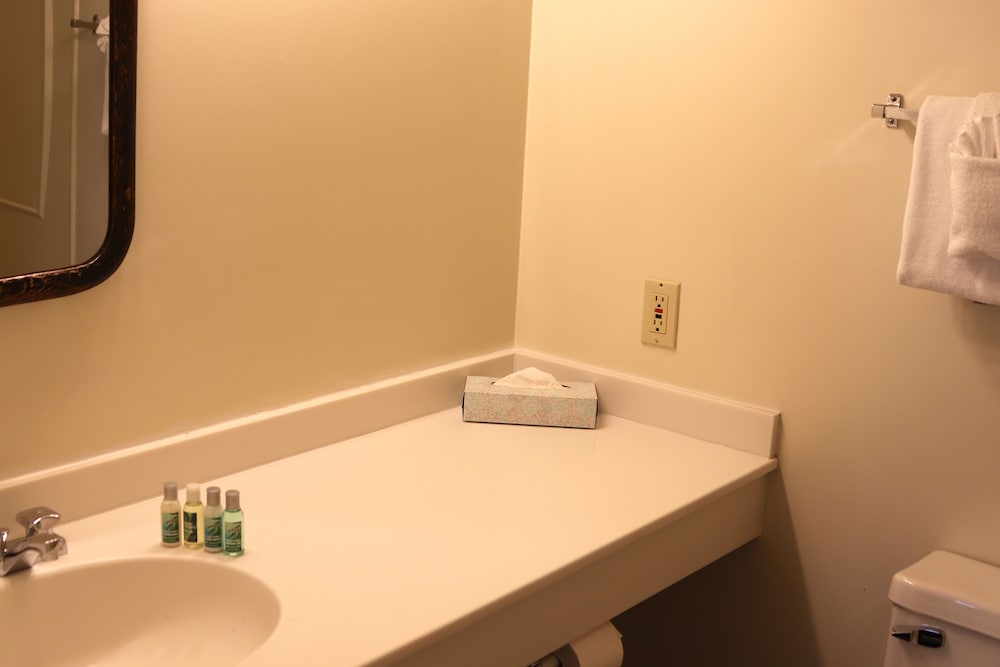 Premium Single Room, Ensuite (VICTORIAN ONE QUEEN ) - Photo 9
