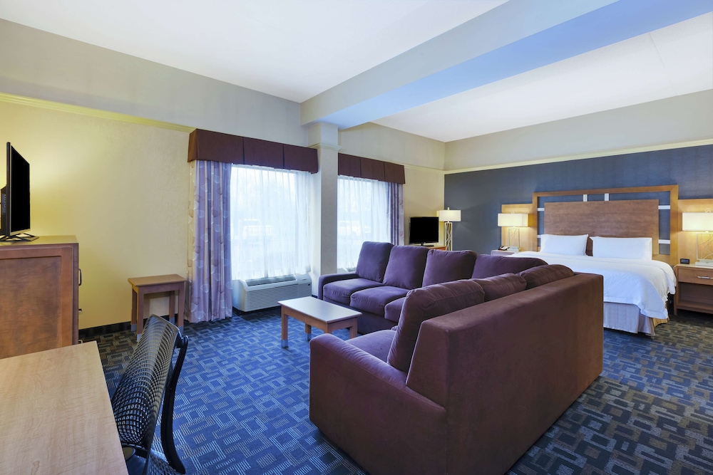 Suite, 1 King Bed with Sofa bed, Non Smoking (Hospitality) - Photo 1