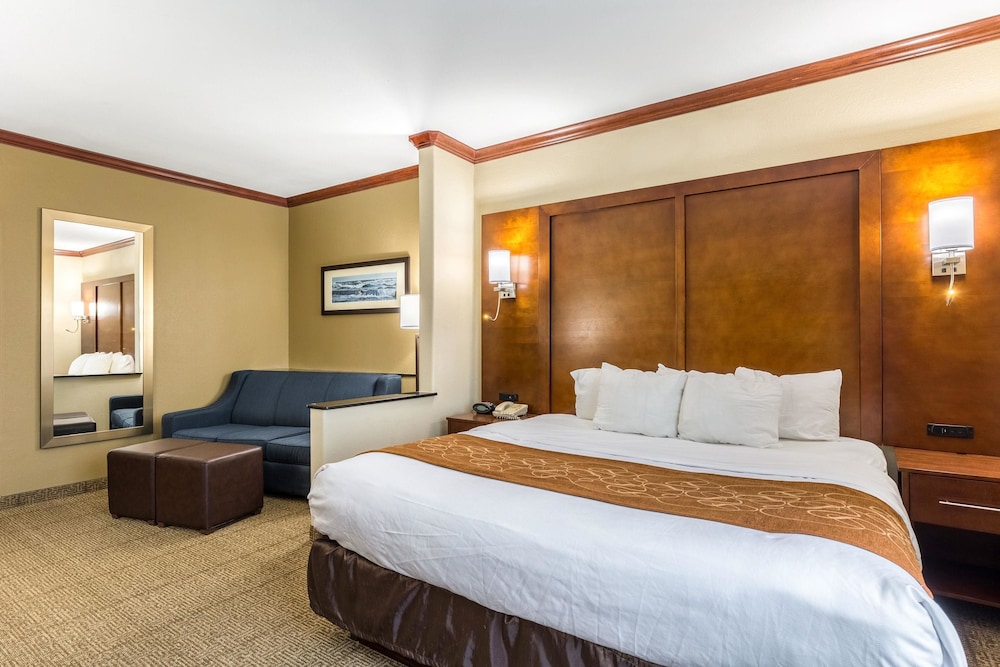 Standard Suite, 1 King Bed, Non Smoking photo 1