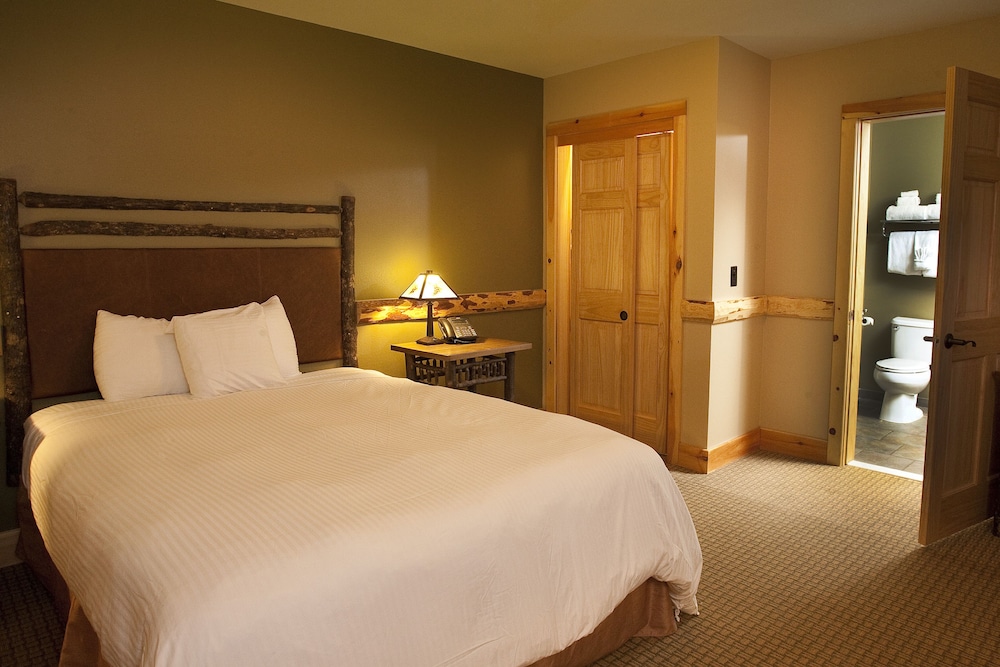 Eagles Nest Suite (Waterpark Access Additional) photo 1