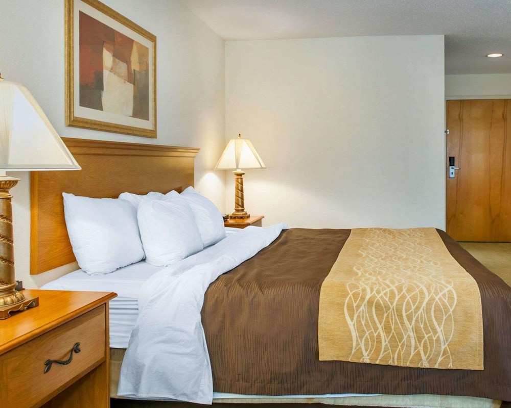 Room, 1 King Bed, Accessible, Non Smoking - Photo 4