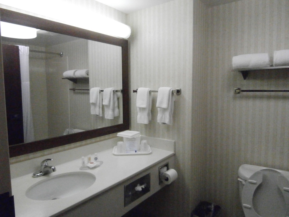 Suite, 1 Bedroom - Photo 2