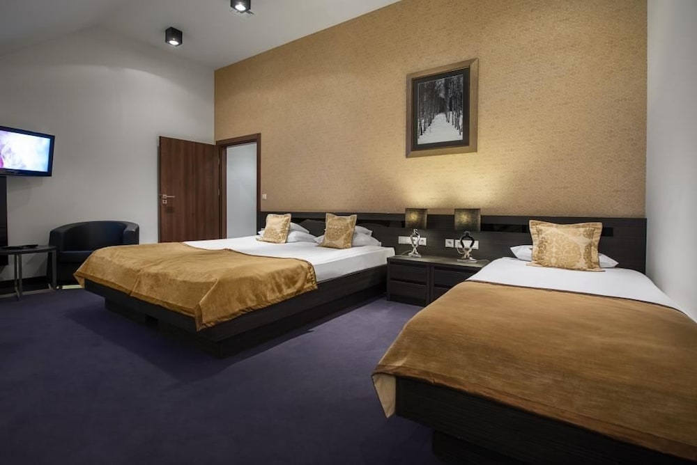 Deluxe Double or Twin Room photo 1