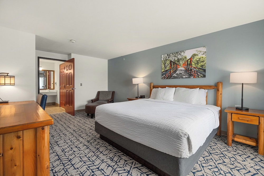 Suite, Multiple Beds, Non Smoking (Efficiency) photo 1