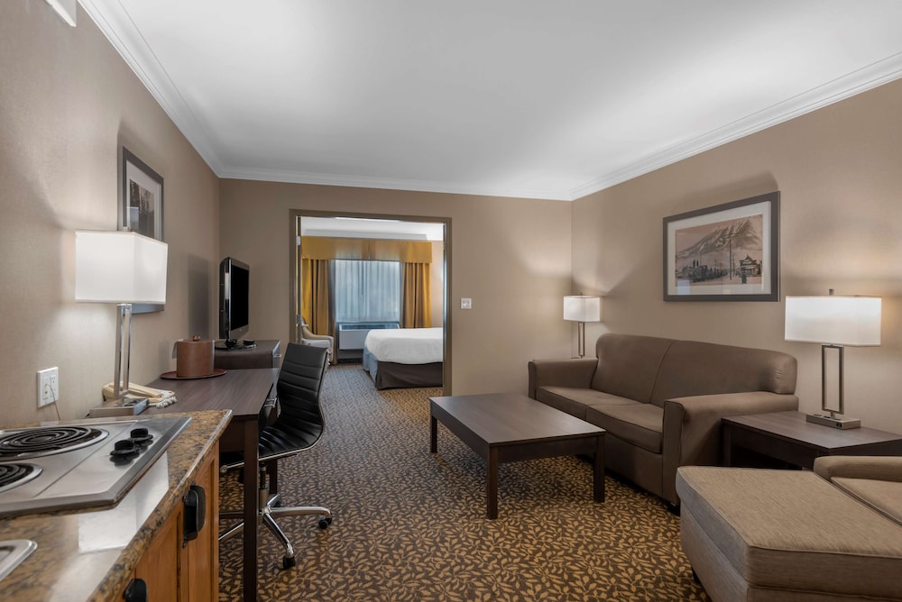 Suite, 1 King Bed, Non Smoking, Kitchenette (with Sofabed) photo 2
