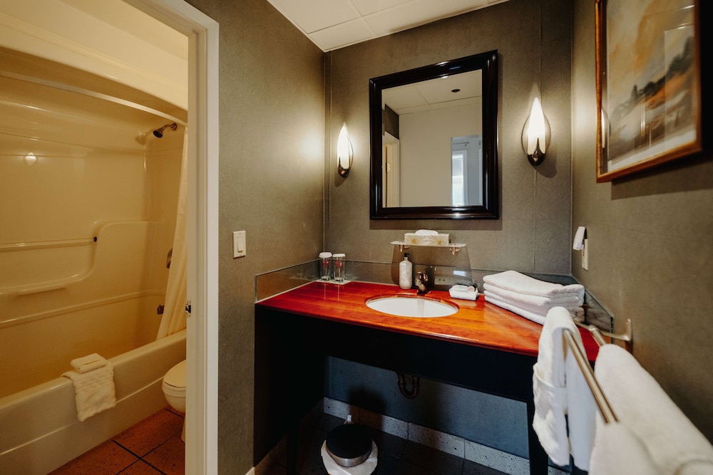 Standard Room, 1 King Bed, Non Smoking (No Elevator Access) photo 3