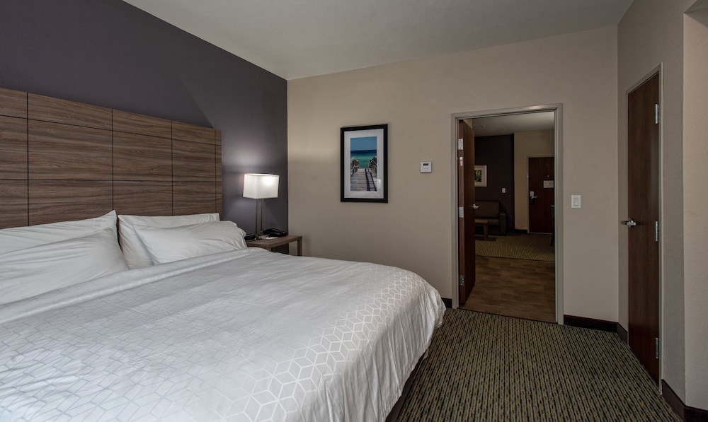 Suite, 1 Bedroom, Accessible, Non Smoking (Comm, Accessible Tub) - Photo 3