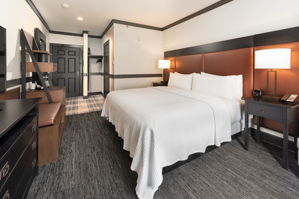 Classic Room, 1 King Bed photo 3