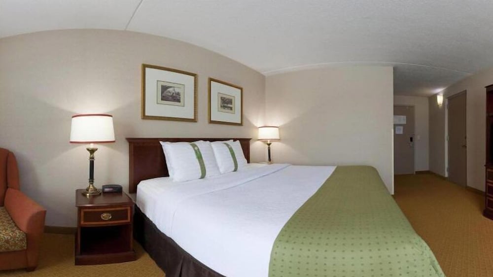 Suite, 1 King Bed (Additional Living Area) - Photo 4