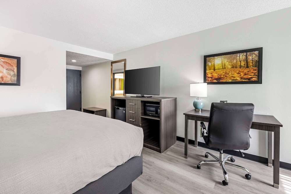Room, 1 King Bed, Non Smoking (2 person whirlpool in bathroom) - Photo 3