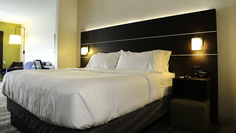 Suite, 1 King Bed photo 3