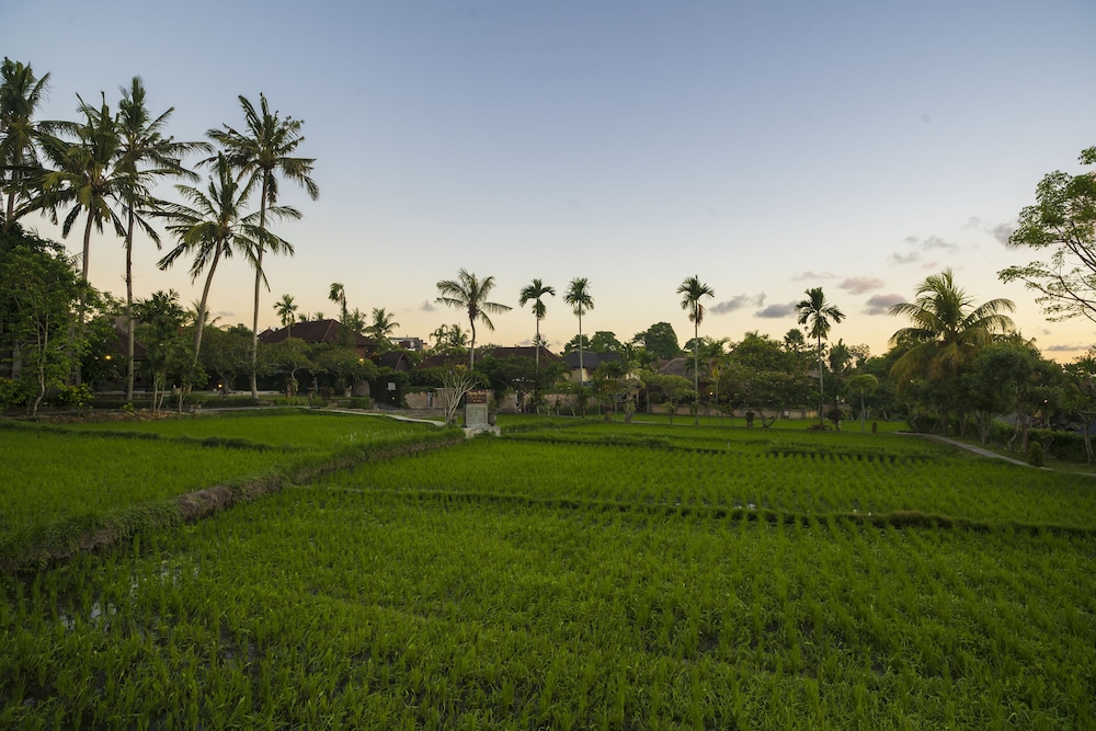 Villa, 2 Bedrooms, Private Pool (Rice Field View)