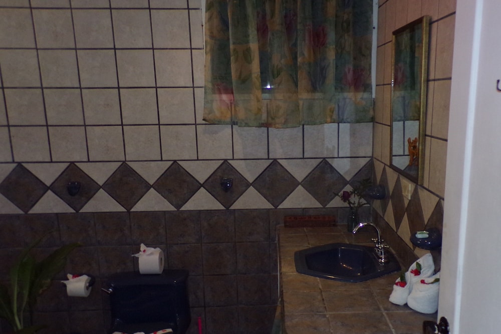 Basic Suite, Kitchenette, Poolside photo 2