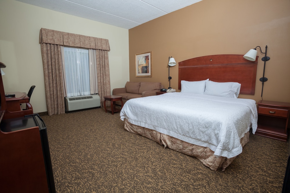 Room, 1 King Bed, Accessible, Non Smoking
