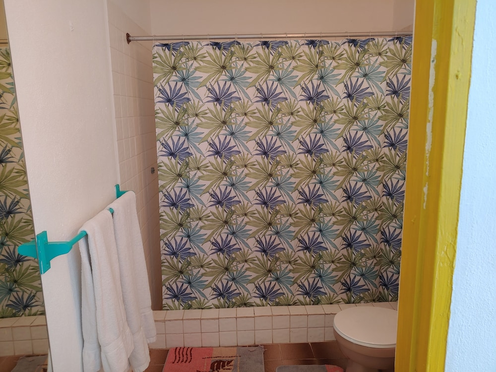 Comfort Studio photo 2