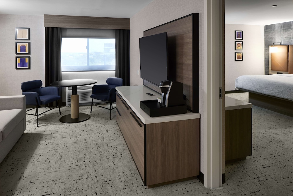 Suite, 1 King Bed - Photo 4