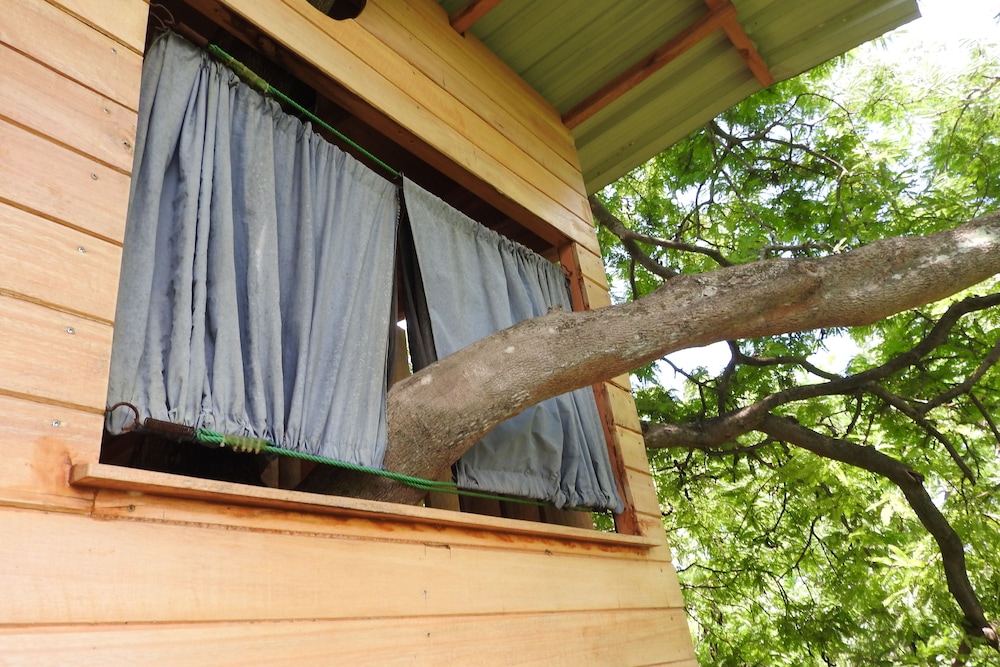 Deluxe Tree House photo 2