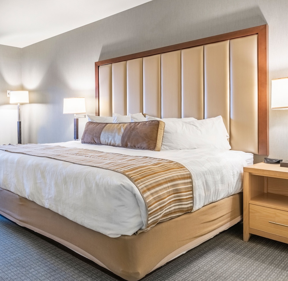 King Suite photo 1