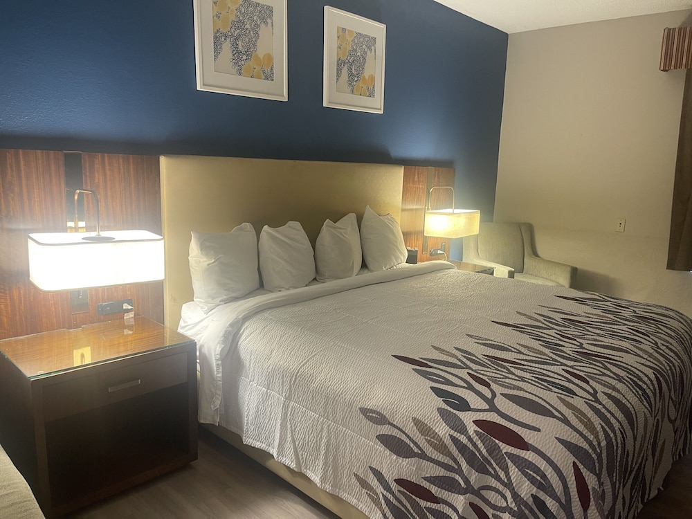 Deluxe Room, 1 King Bed, Non Smoking - Photo 1