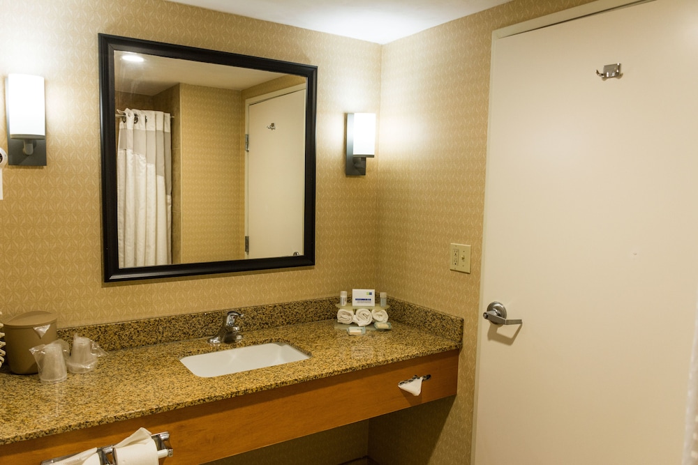 Suite, 1 King Bed - Photo 10