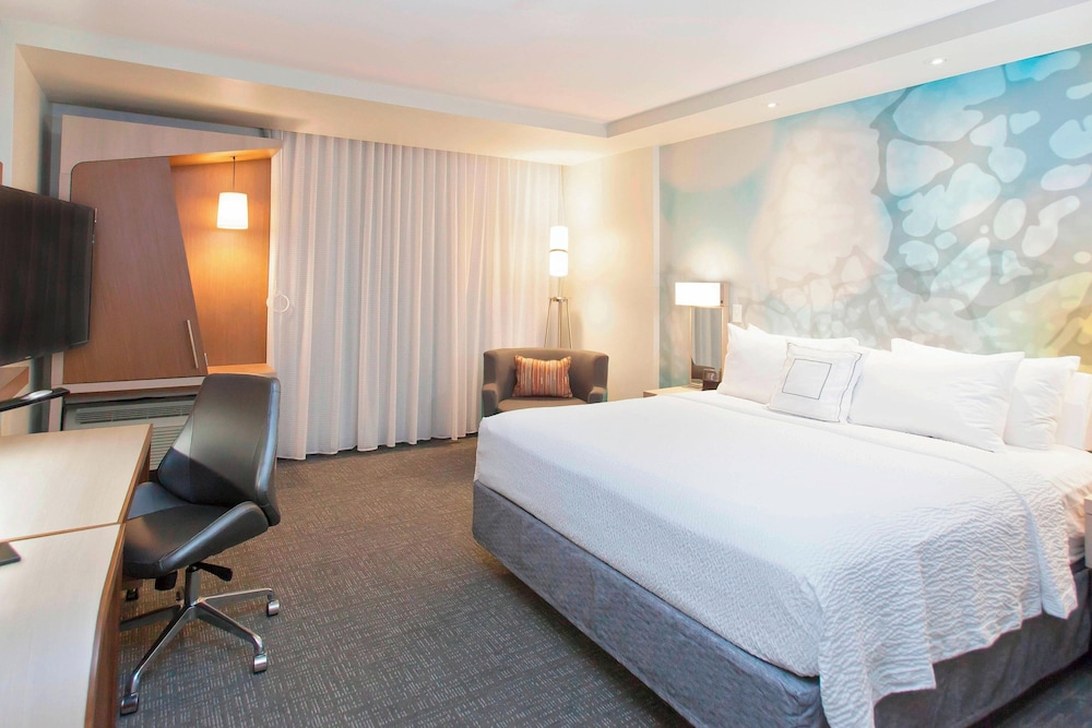 Suite, 1 King Bed photo 2