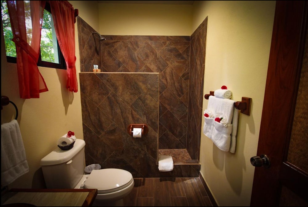 Premier Room photo 3