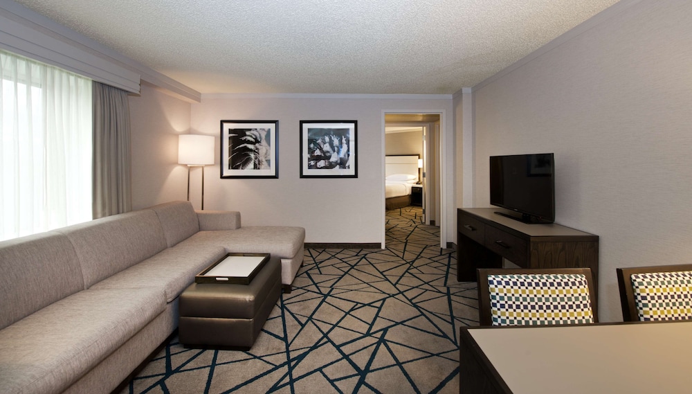 Suite, 1 King Bed, Accessible - Photo 4