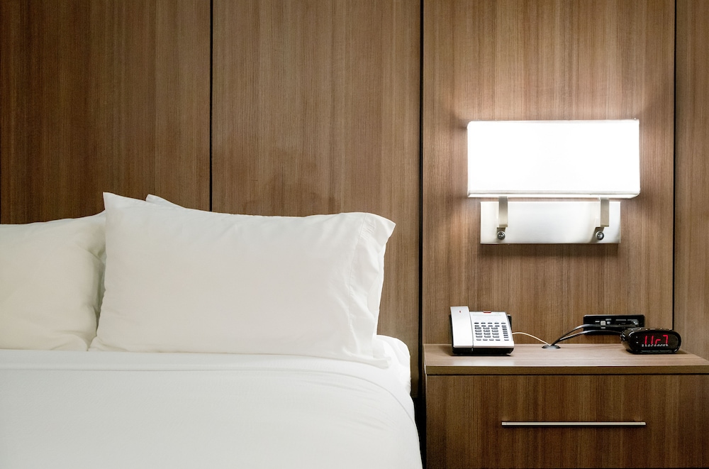 Room, 1 King Bed, Roll-in Shower (Mobility, Roll-In Shower)