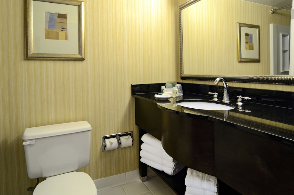 Standard Room, 1 King Bed, Accessible, Non Smoking (Communications, Mobility, Access Tub) - Photo 5