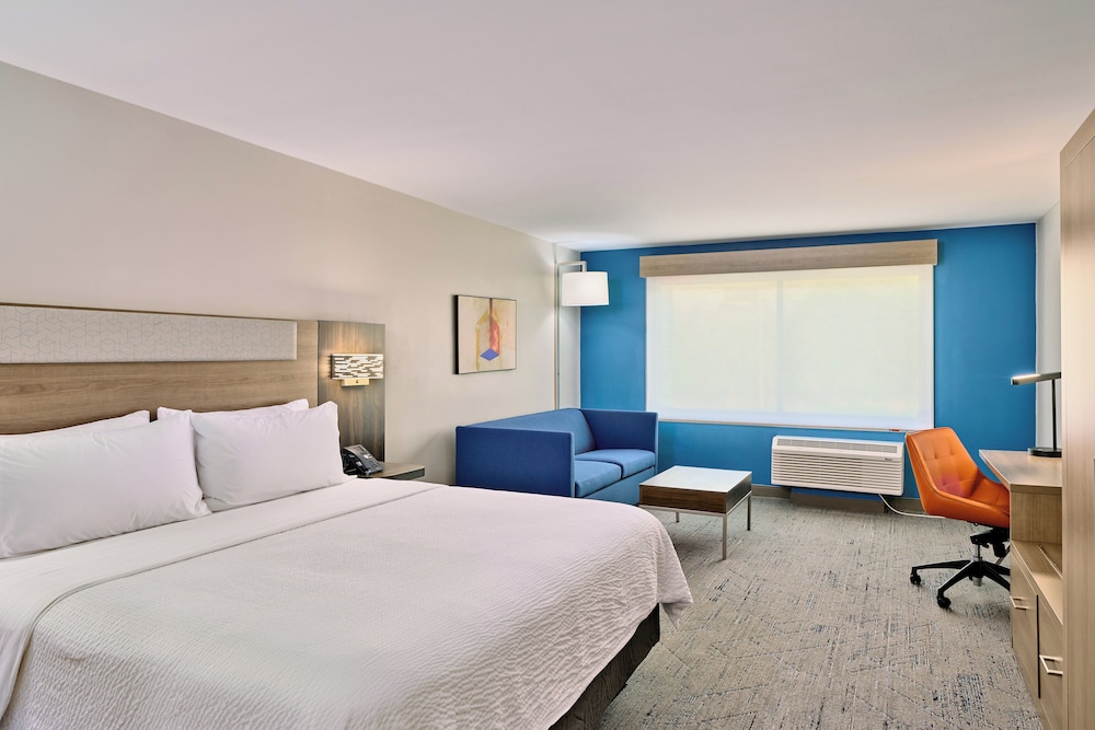 Suite, 1 King Bed photo 1