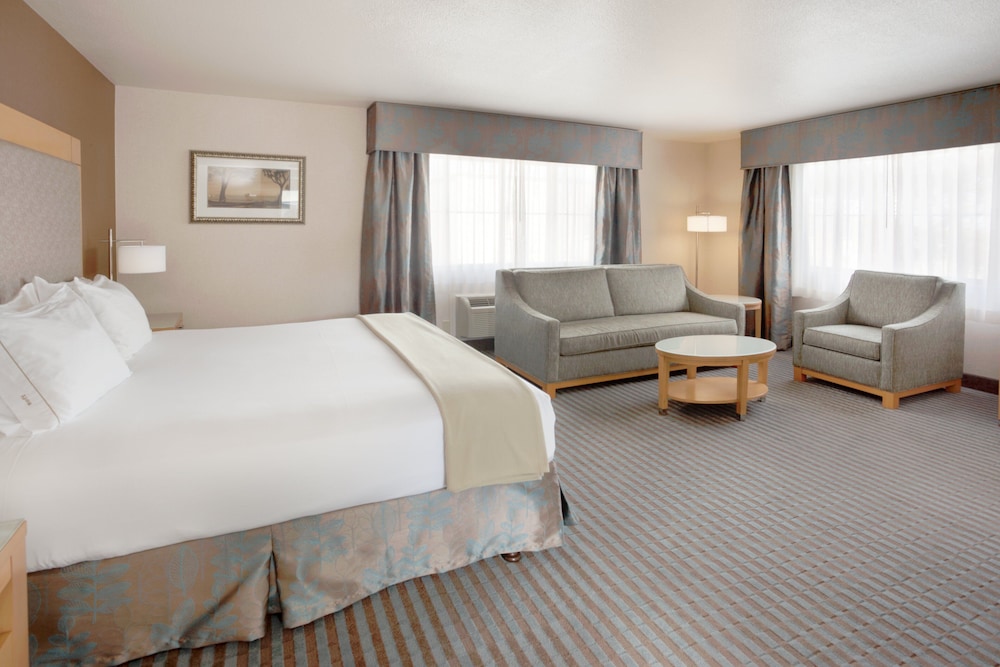 Standard Room, 1 King Bed with Sofa bed, Accessible (Communications) - Photo 1