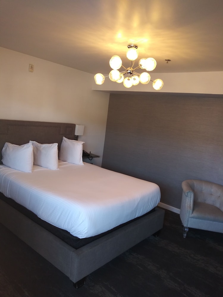Deluxe Single Room - Photo 2