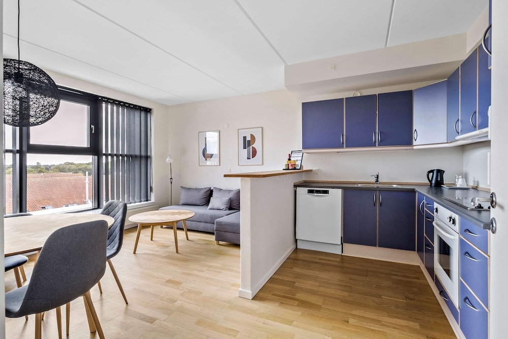 Standard Room, 1 King Bed, Non Smoking, Kitchen (with Sofabed) - Photo 6