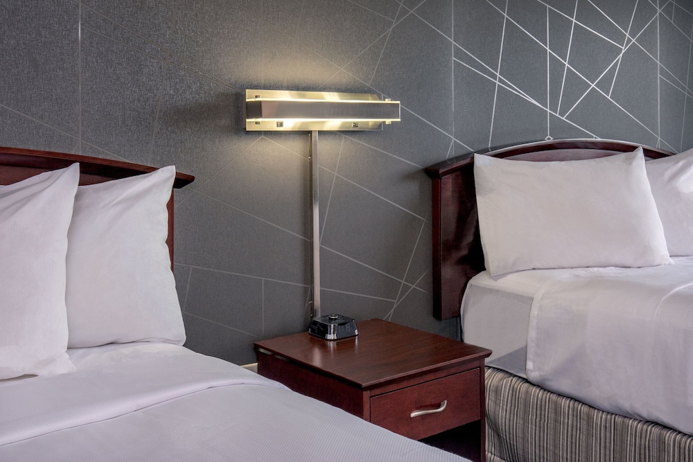 Studio Suite, 2 Double Beds - Photo 8