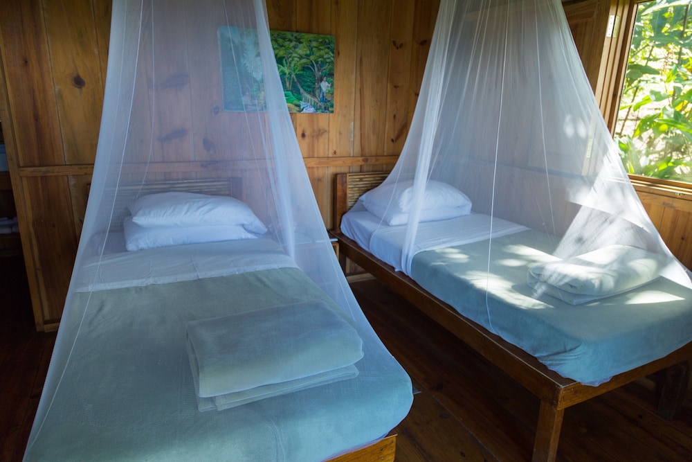 Standard Cabin, Mountain View, Mountainside photo 3