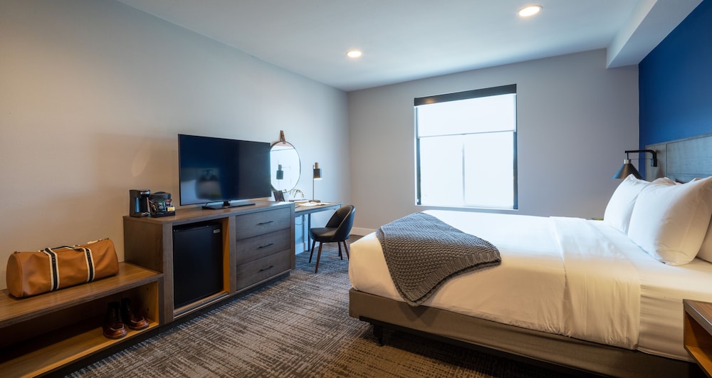 Room, 1 King Bed with Sofa bed, Accessible photo 2
