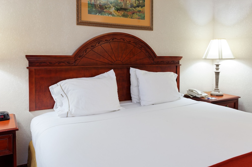Suite, 1 King Bed (Top Floor) photo 3