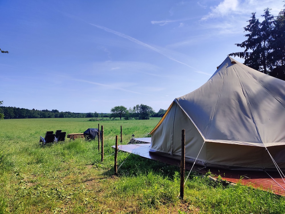 Family Tent White Tailed Eagle photo 3