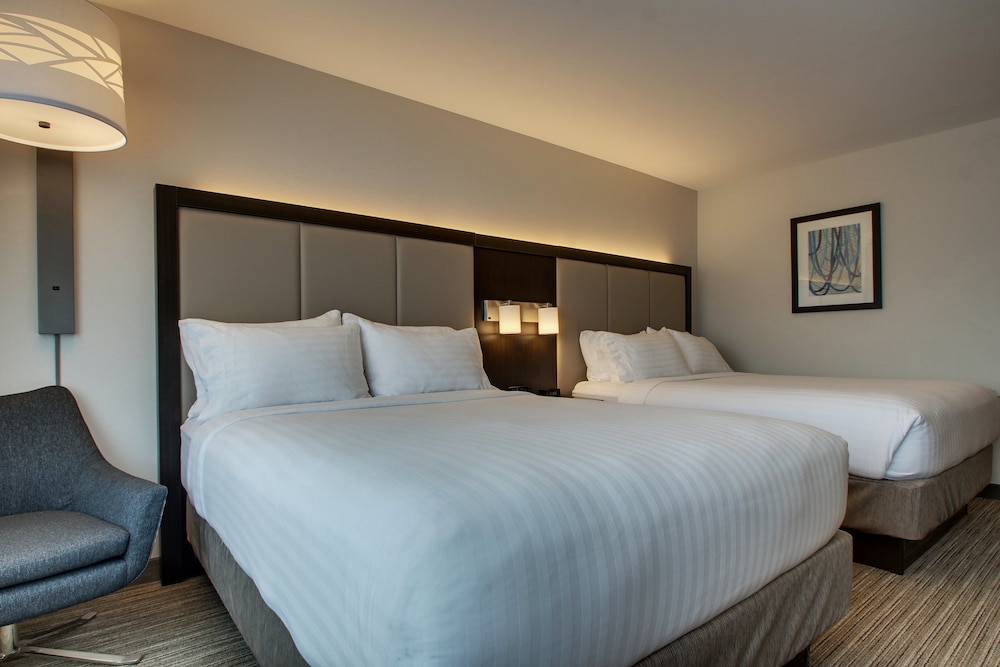 Suite, 1 Bedroom photo 3